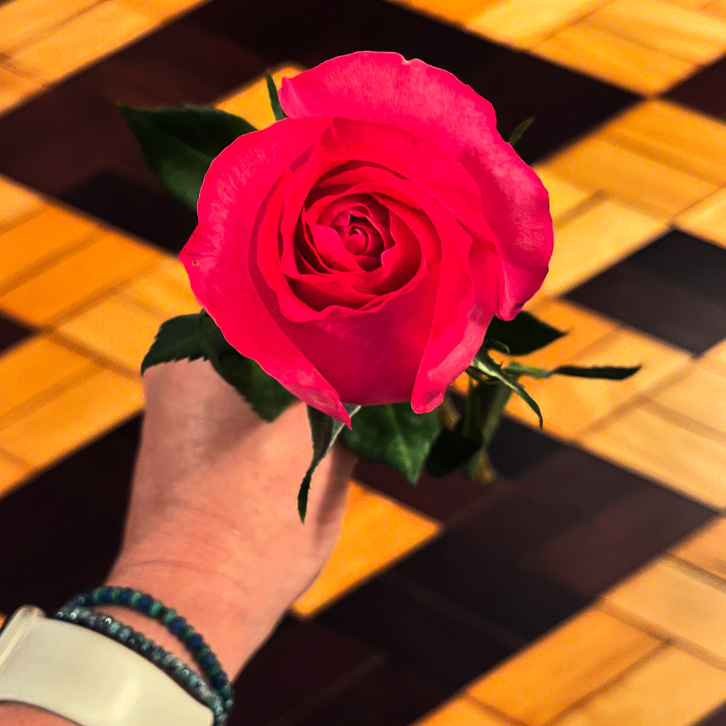 A mão da terapeuta Júlia Linhares segurando uma rosa cor de rosa